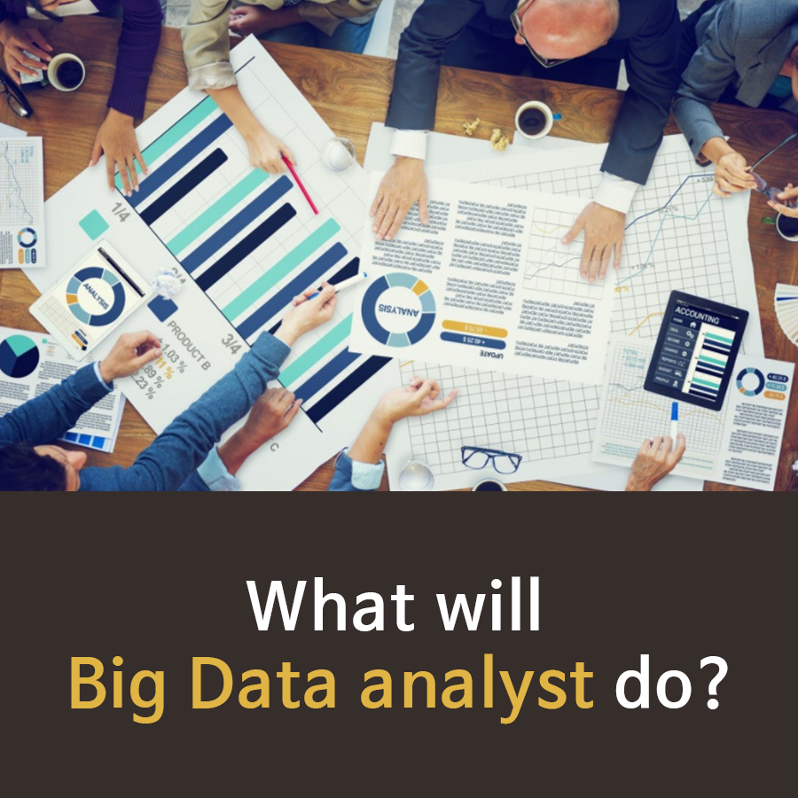 What will Big Data analyst do
